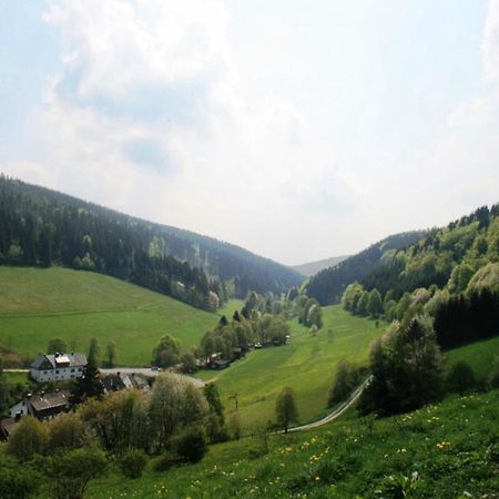 Large Holiday Home In Willingen With Private Garden And Several Terraces المظهر الخارجي الصورة