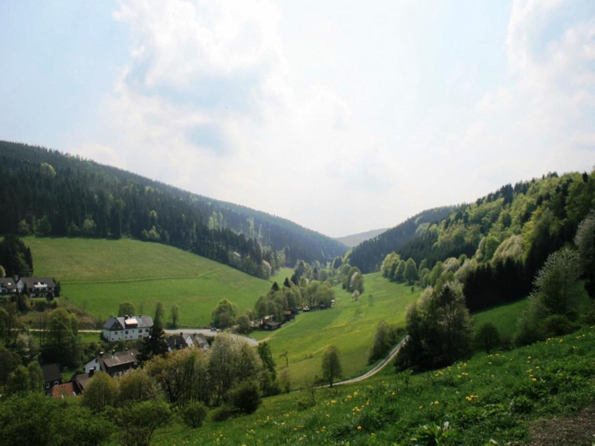 Large Holiday Home In Willingen With Private Garden And Several Terraces المظهر الخارجي الصورة