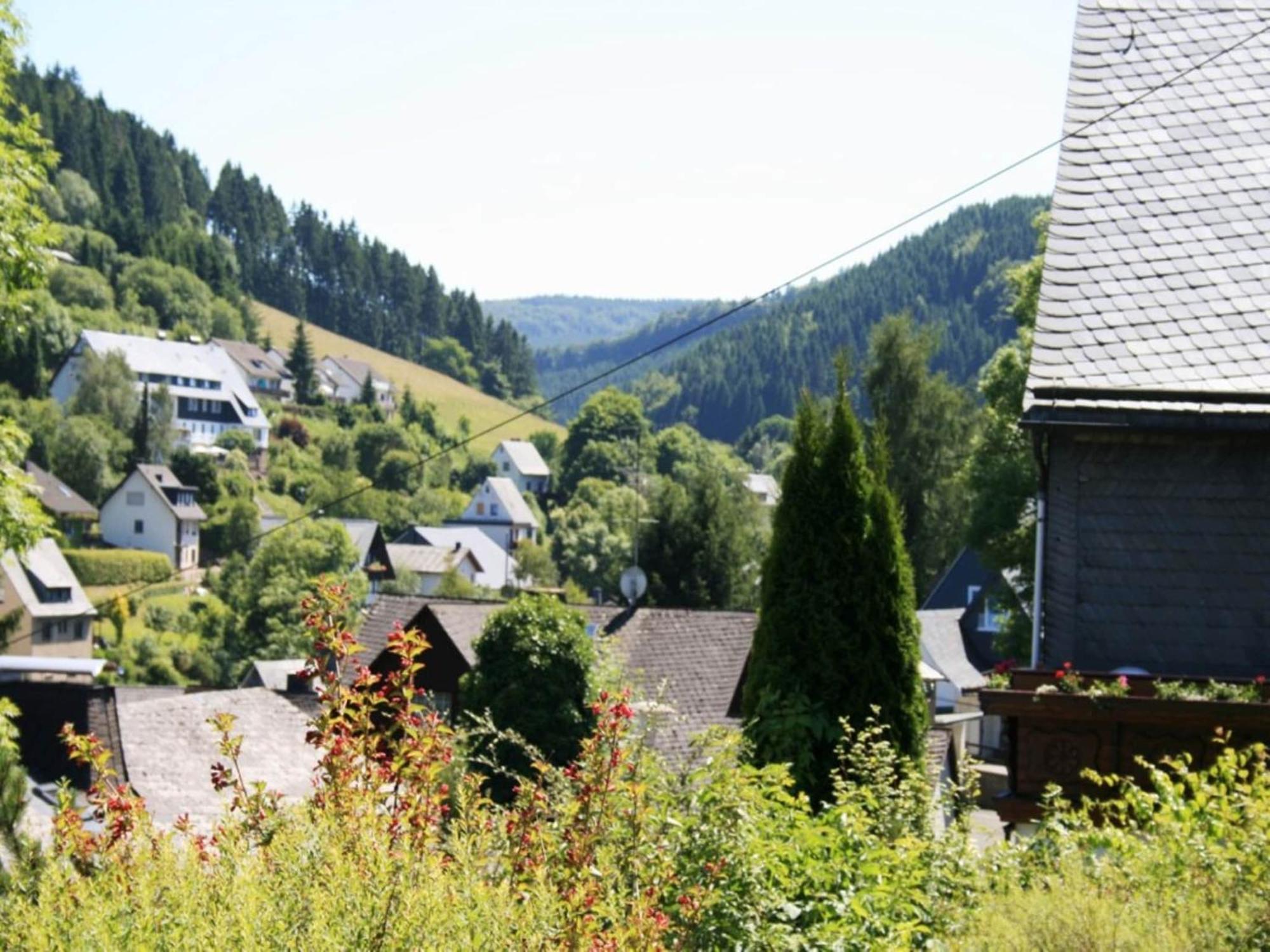 Large Holiday Home In Willingen With Private Garden And Several Terraces المظهر الخارجي الصورة
