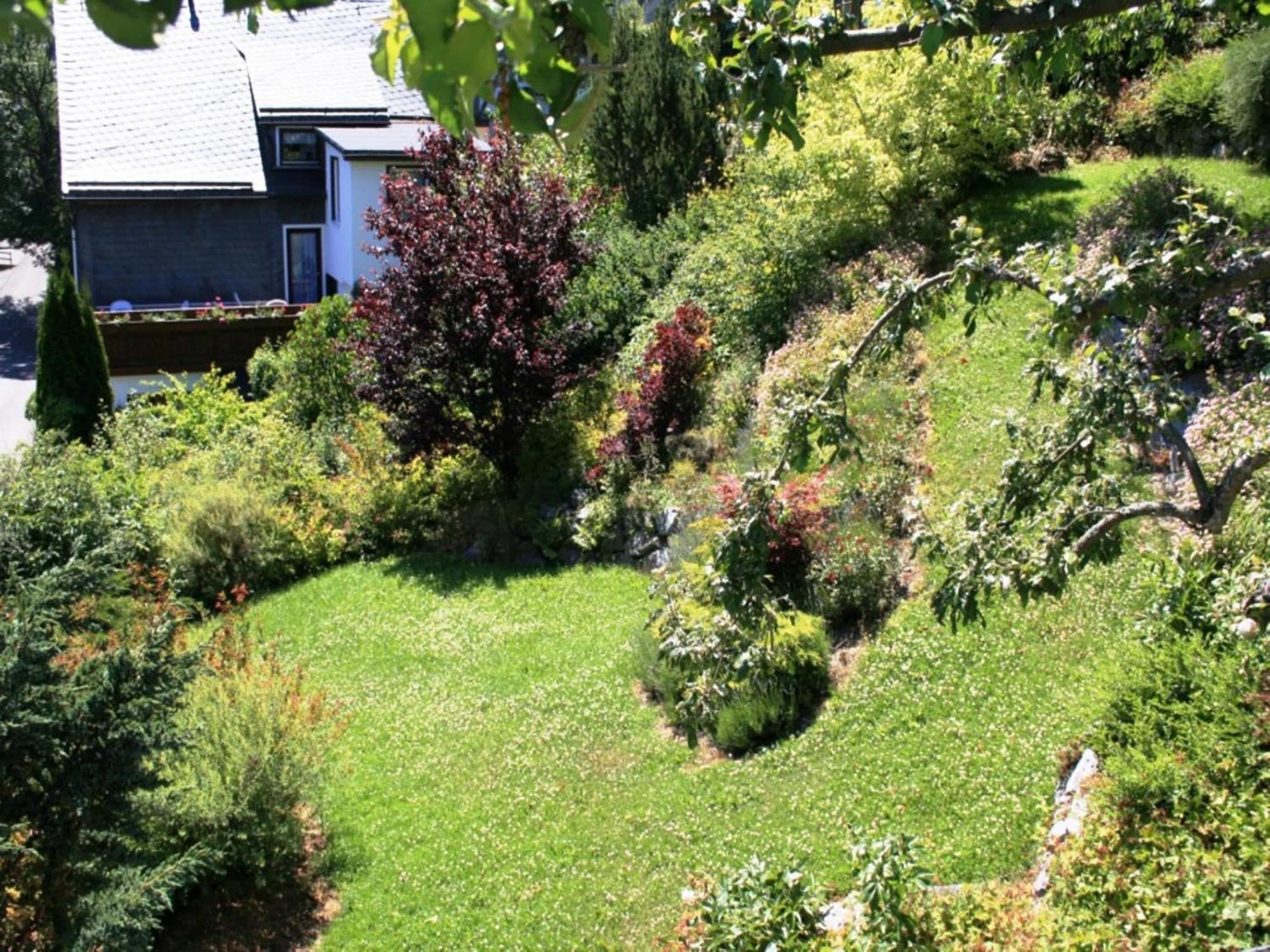 Large Holiday Home In Willingen With Private Garden And Several Terraces المظهر الخارجي الصورة