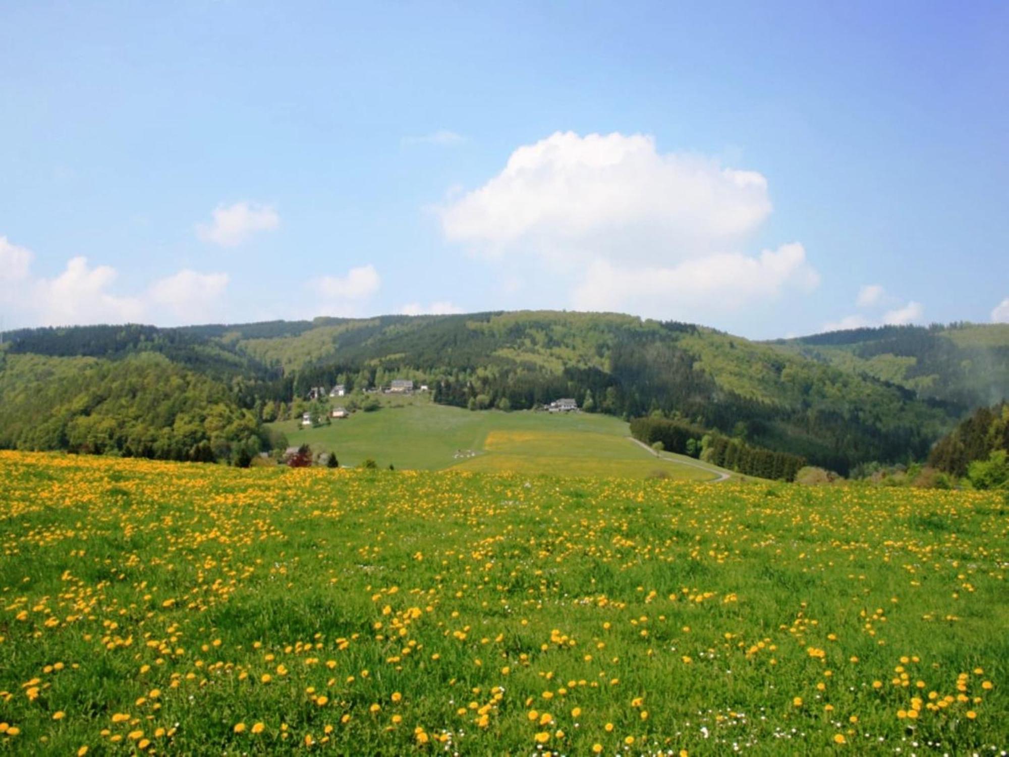 Large Holiday Home In Willingen With Private Garden And Several Terraces المظهر الخارجي الصورة