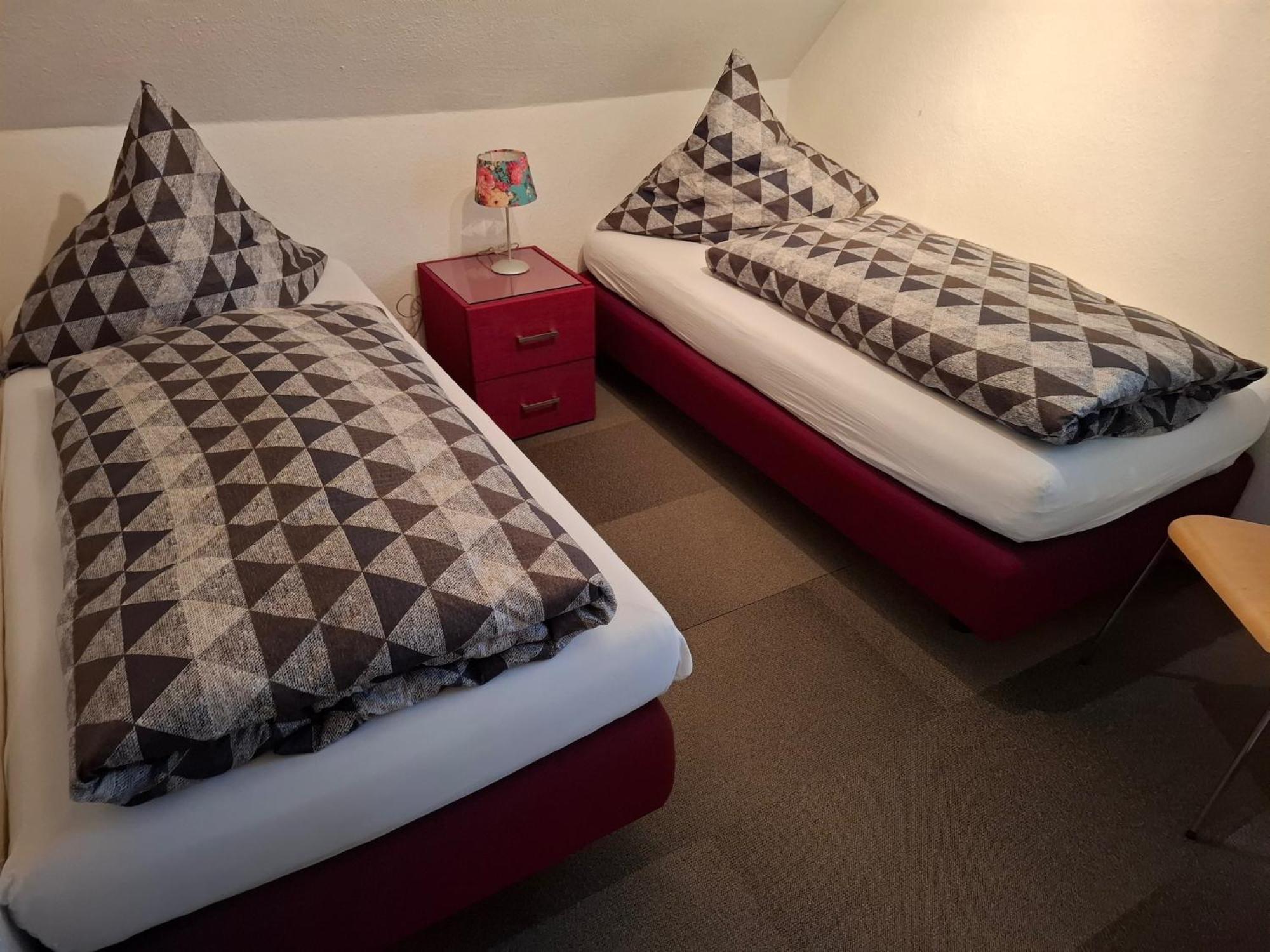 Large Holiday Home In Willingen With Private Garden And Several Terraces المظهر الخارجي الصورة