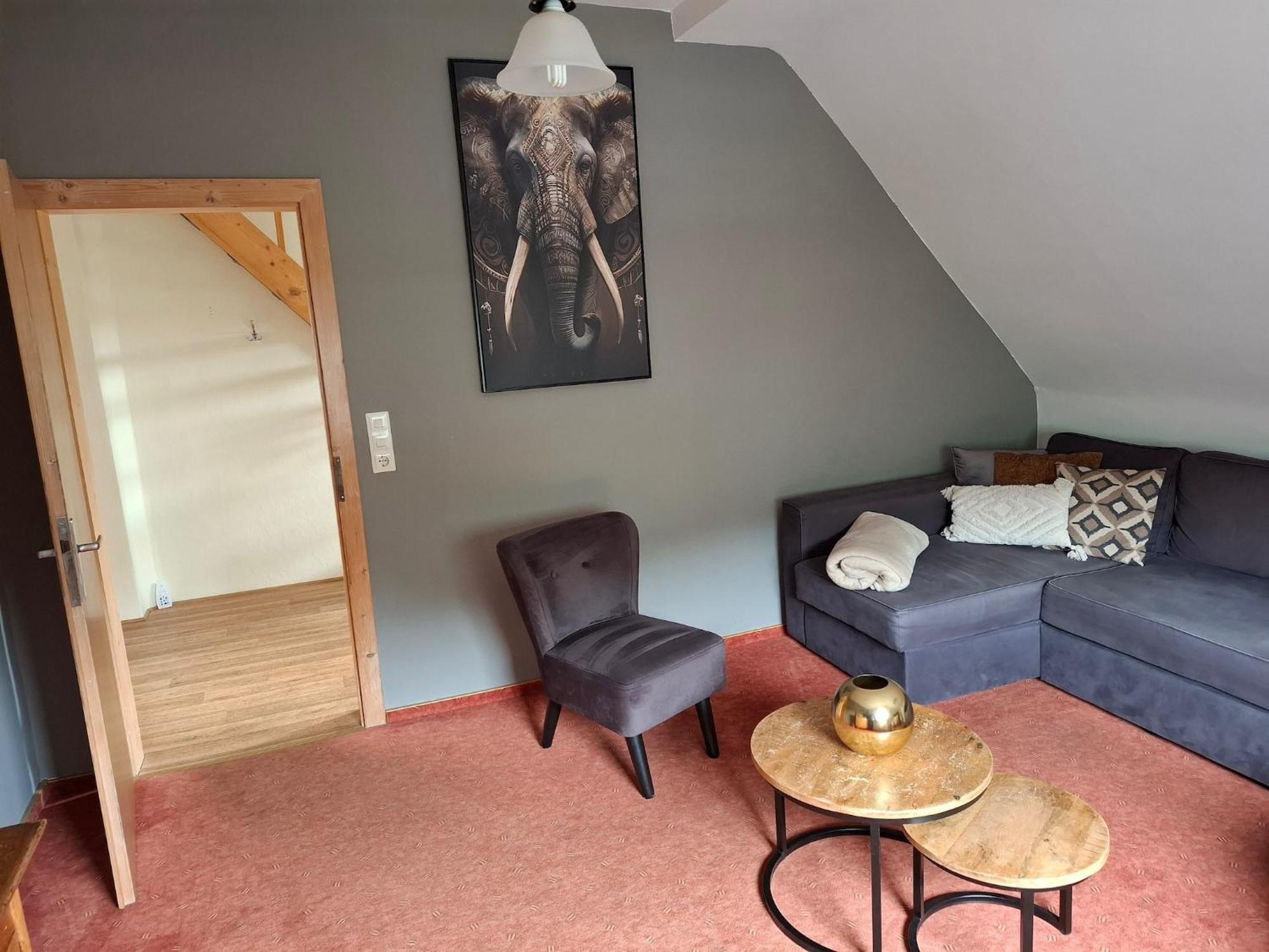 Large Holiday Home In Willingen With Private Garden And Several Terraces المظهر الخارجي الصورة