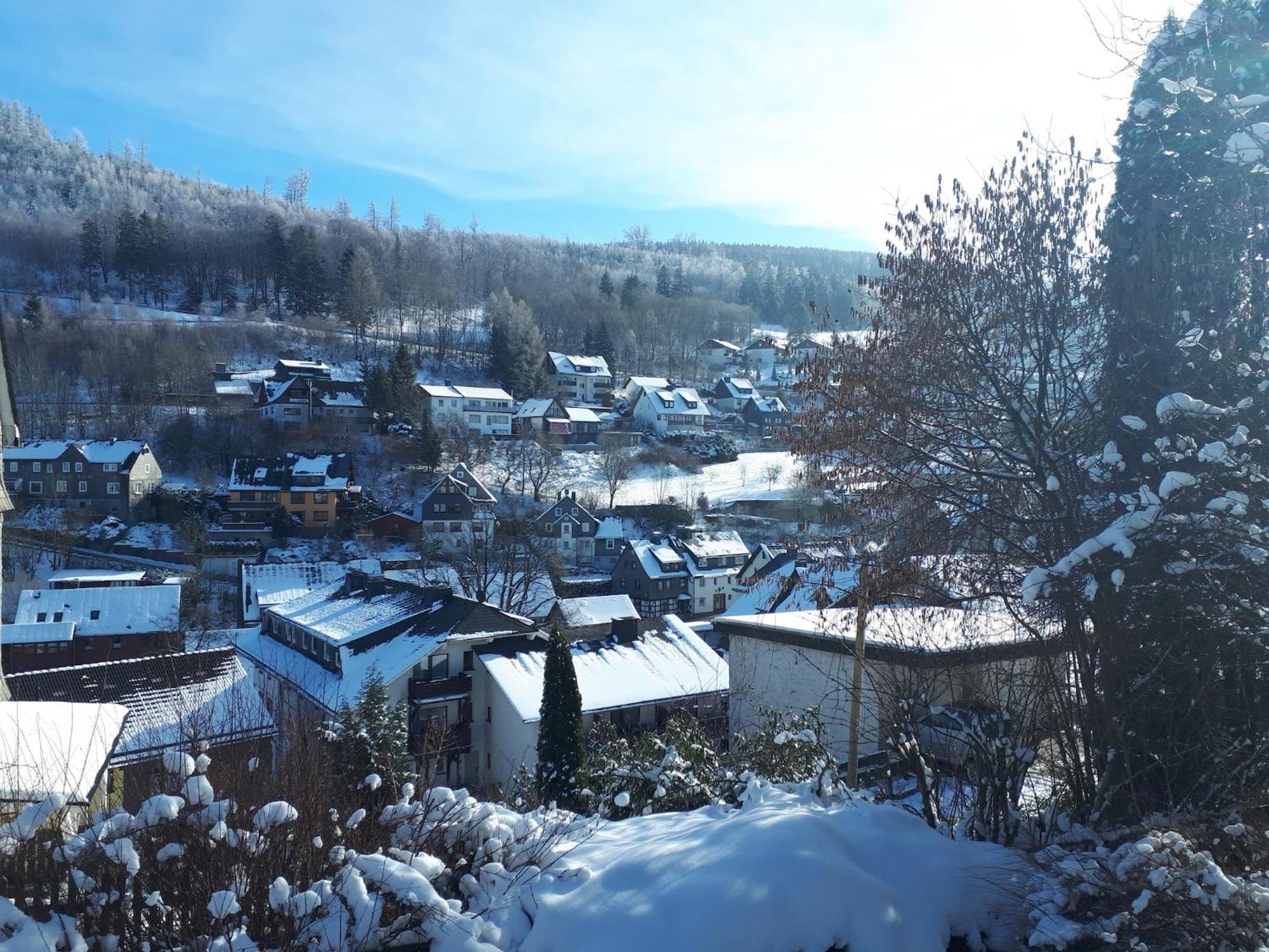 Large Holiday Home In Willingen With Private Garden And Several Terraces المظهر الخارجي الصورة
