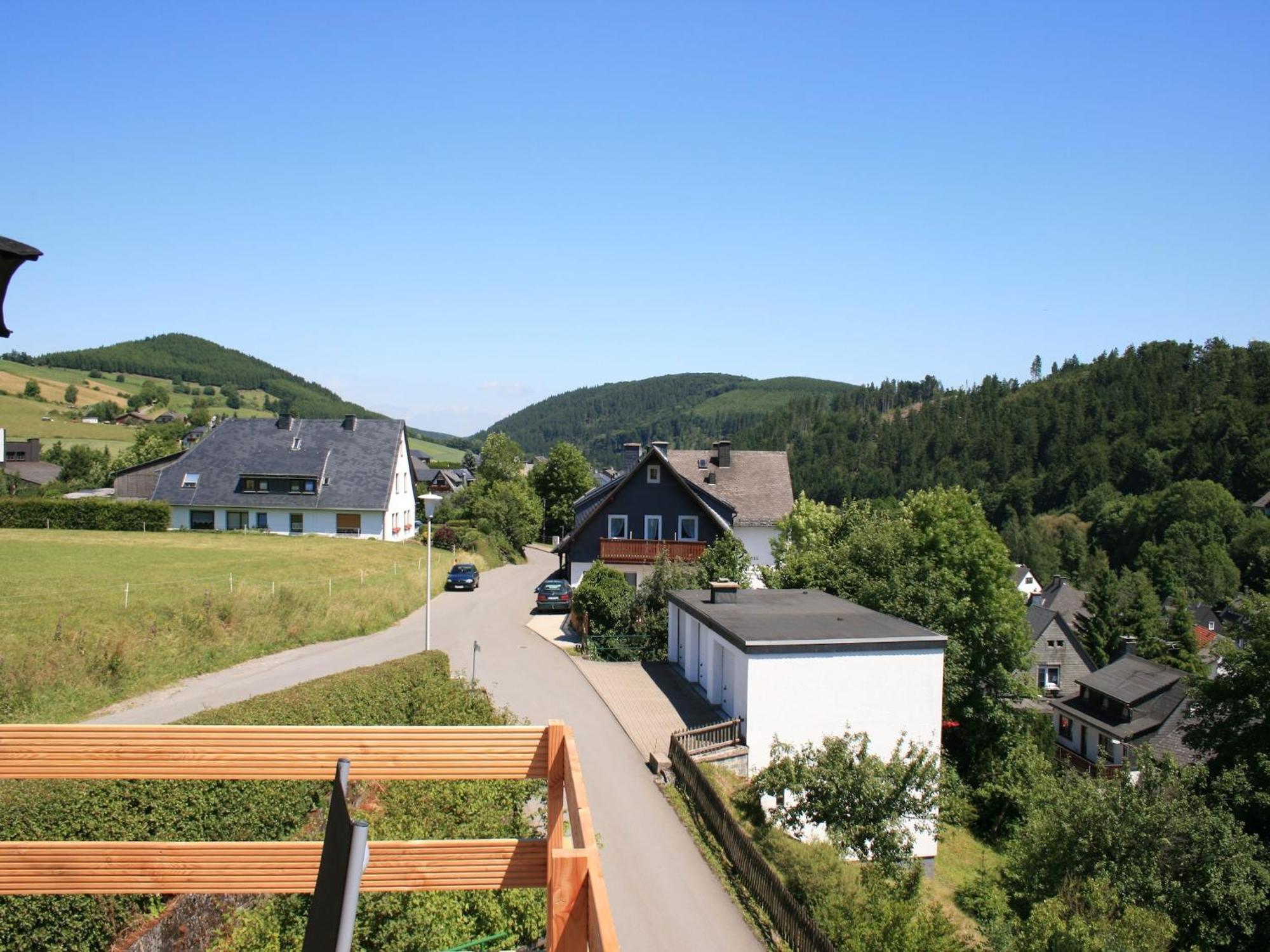 Large Holiday Home In Willingen With Private Garden And Several Terraces المظهر الخارجي الصورة