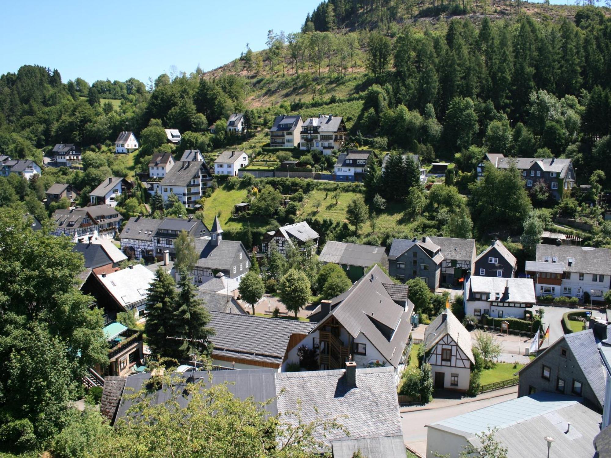 Large Holiday Home In Willingen With Private Garden And Several Terraces المظهر الخارجي الصورة