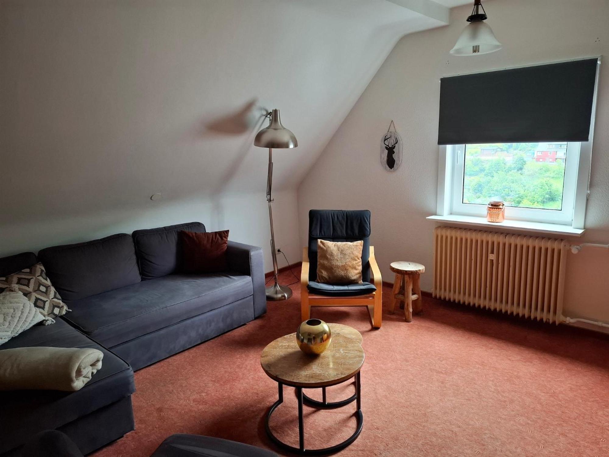 Large Holiday Home In Willingen With Private Garden And Several Terraces المظهر الخارجي الصورة