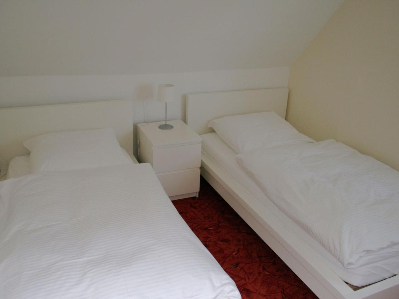 Large Holiday Home In Willingen With Private Garden And Several Terraces المظهر الخارجي الصورة